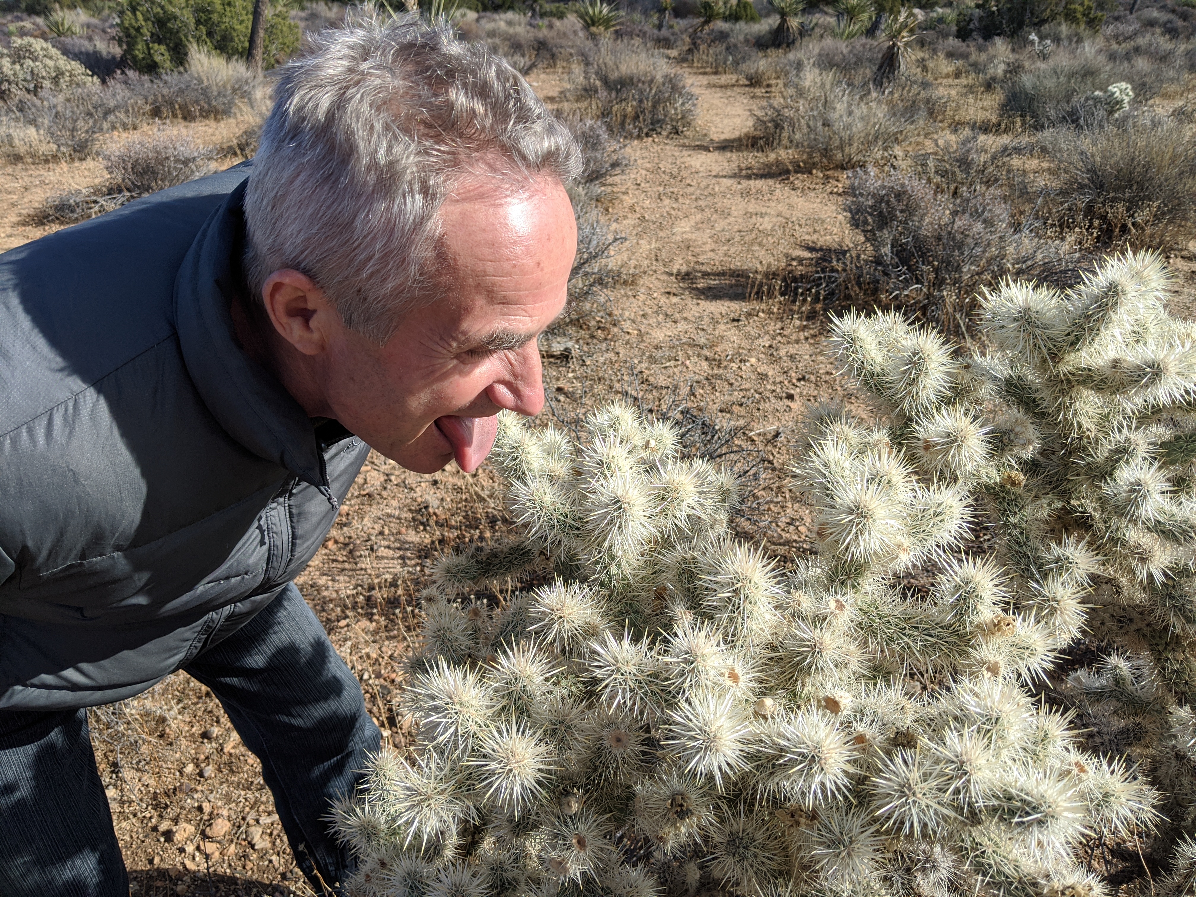 Тата завджи був допитливим. Навіть якщо колеться!